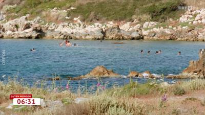 Guten Morgen Österreich