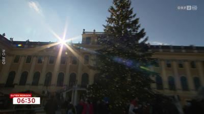 Guten Morgen Österreich