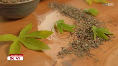 Guten Morgen Österreich