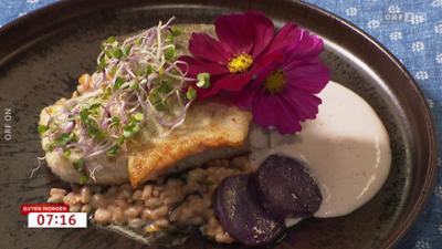 Guten Morgen Österreich