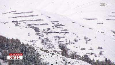 Guten Morgen Österreich