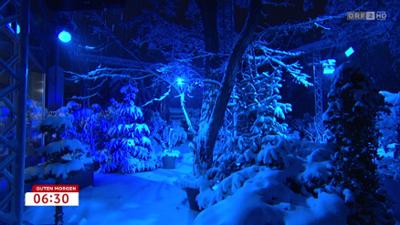 Guten Morgen Österreich