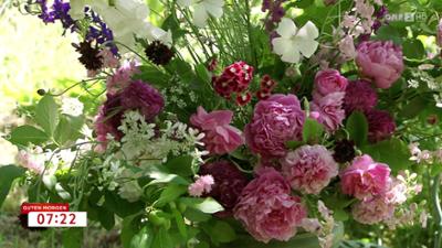 Guten Morgen Österreich