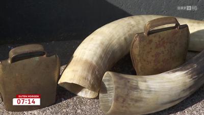 Guten Morgen Österreich