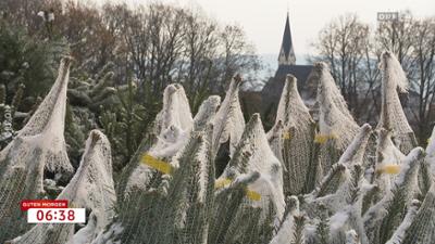 Guten Morgen Österreich