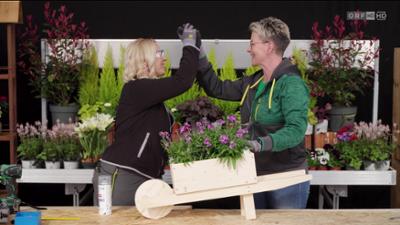 Heimwerken mit Astrid: Do-it-yourself-Tipps