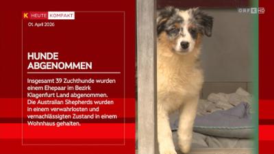 heute kompakt: Kärnten heute kompakt