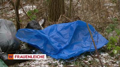 heute kompakt: Wien heute kompakt