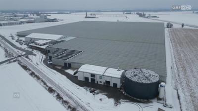 heute kompakt: Oberösterreich heute kompakt