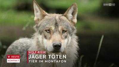 heute kompakt: Vorarlberg heute kompakt