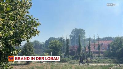 heute kompakt: Wien heute kompakt