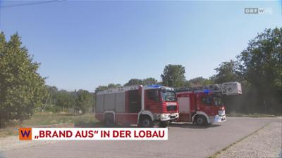 heute kompakt: Wien heute kompakt
