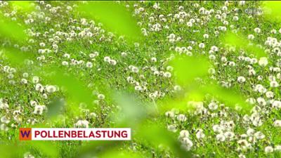 heute kompakt: Wien heute kompakt