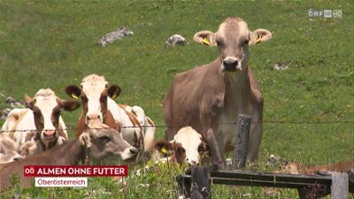 heute kompakt: Oberösterreich heute kompakt