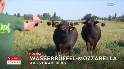 heute kompakt: Vorarlberg heute kompakt