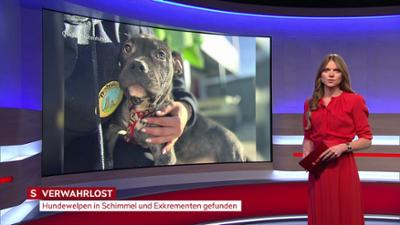 heute kompakt: Salzburg heute kompakt