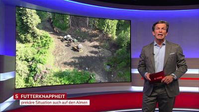 heute kompakt: Salzburg heute kompakt