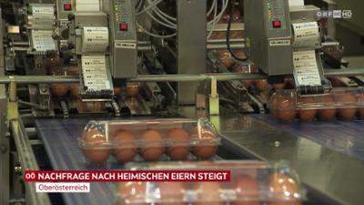 heute kompakt: Oberösterreich heute kompakt