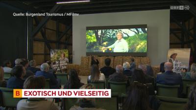 heute kompakt: Burgenland heute kompakt