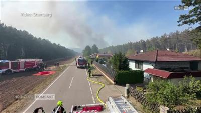 heute kompakt: Niederösterreich heute kompakt