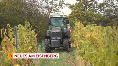 heute kompakt: Burgenland heute kompakt
