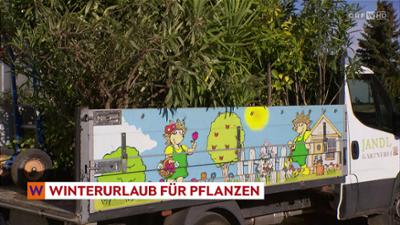 heute kompakt: Wien heute kompakt