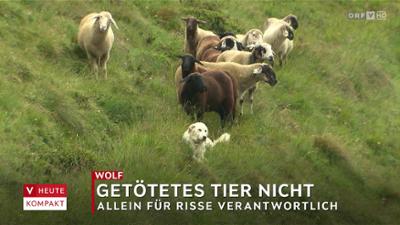 heute kompakt: Vorarlberg heute kompakt