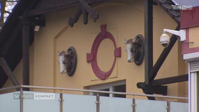 heute kompakt: Steiermark heute kompakt