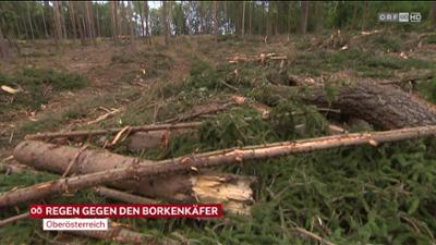 heute kompakt: Oberösterreich heute kompakt