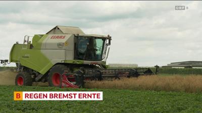 heute kompakt: Burgenland heute kompakt