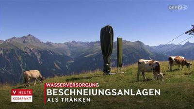 heute kompakt: Vorarlberg heute kompakt