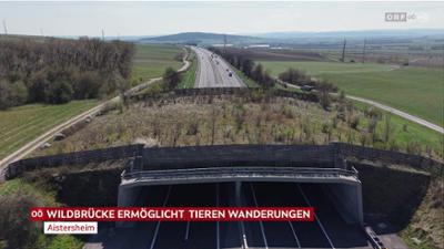 heute kompakt: Oberösterreich heute kompakt