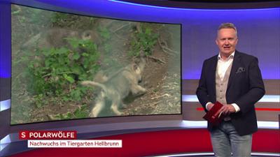 heute kompakt: Salzburg heute kompakt
