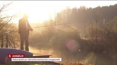heute kompakt: Salzburg heute kompakt