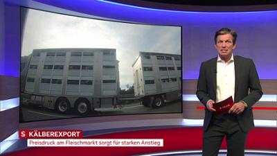 heute kompakt: Salzburg heute kompakt