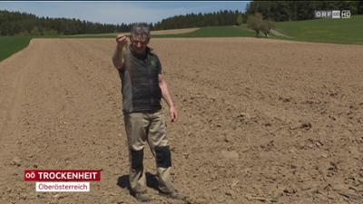 heute kompakt: Oberösterreich heute kompakt