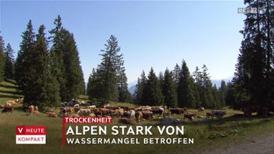 heute kompakt: Vorarlberg heute kompakt