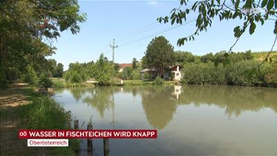 heute kompakt: Oberösterreich heute kompakt
