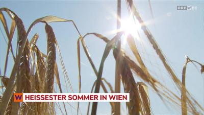 heute kompakt: Wien heute kompakt
