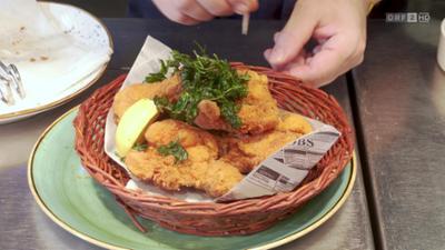 infos & tipps: Ratgeber