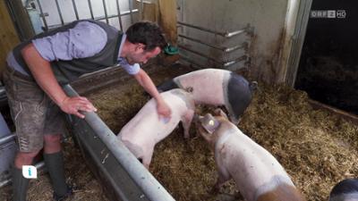 infos & tipps: Ratgeber