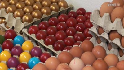 infos & tipps: Ratgeber