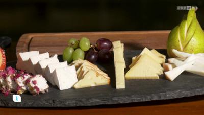 Infos & Tipps: Ratgeber