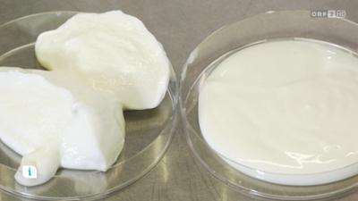 infos & tipps: Ratgeber