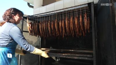 Infos & Tipps: Ratgeber