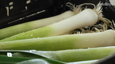 infos & tipps: Ratgeber
