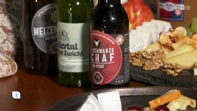 infos & tipps: Ratgeber