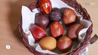 infos & tipps: Ratgeber