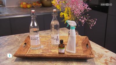 infos & tipps: Ratgeber