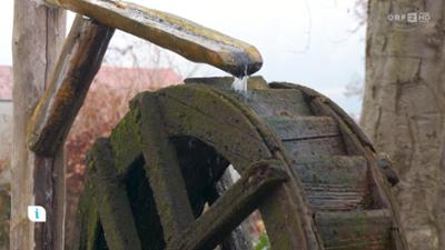 infos & tipps: Ratgeber